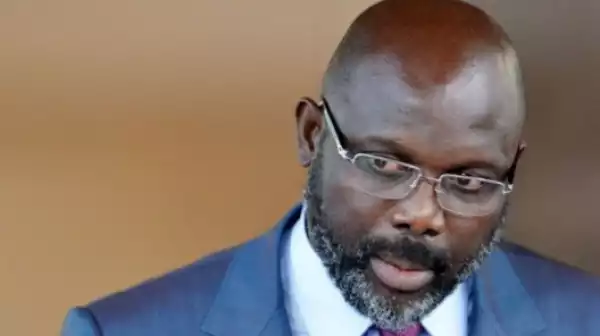 2 Black Snakes Chase President George Weah Away From Office